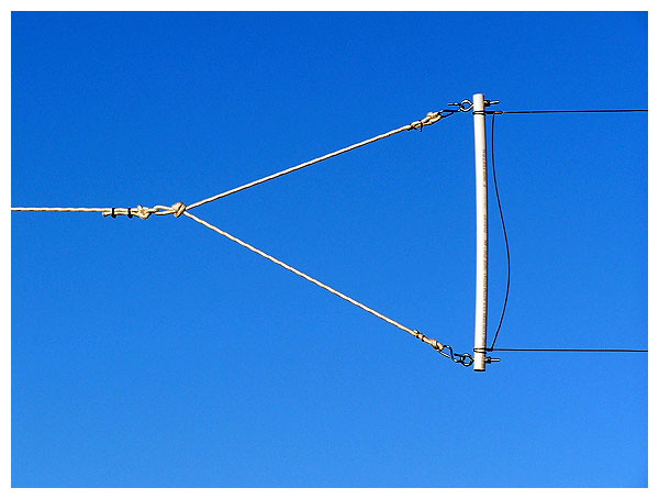 NVIS antenna
